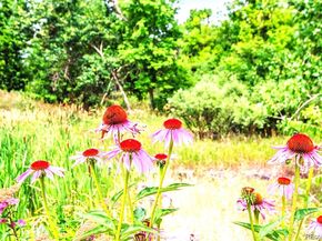 10457 W Hampden Avenue 203, Lakewood CO 80227