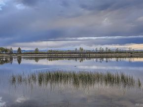 253 Beldock Court, Brighton CO 80601