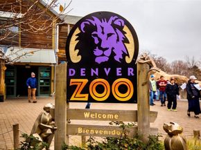 3127 N Josephine Street, Denver CO 80205