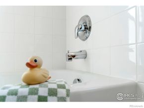 4207 San Marco Drive, Longmont CO 80503