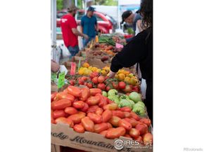 1627 17th Street, Boulder CO 80302