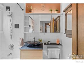 1217 N Downing Street 4, Denver CO 80218