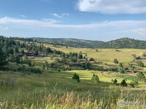 27033 Thea Gulch Road, Golden CO 80403