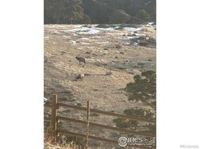 27033 Thea Gulch Road, Golden CO 80403