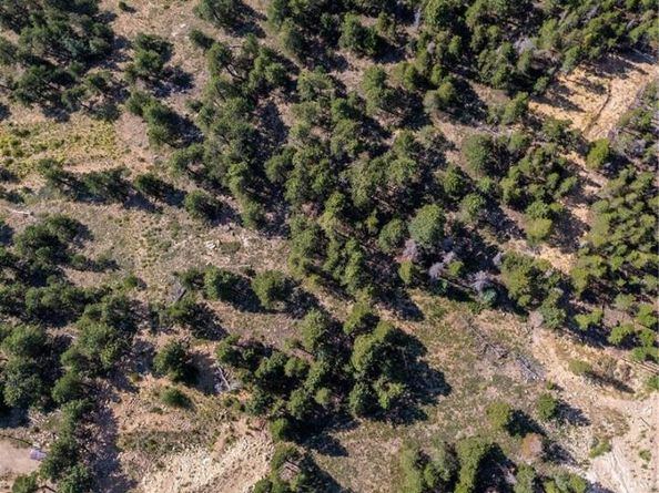 32778 Janelle Lane, Golden CO 80403