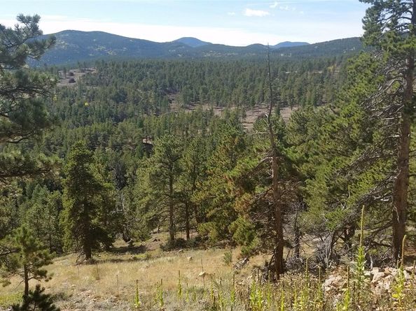 32778 Janelle Lane, Golden CO 80403