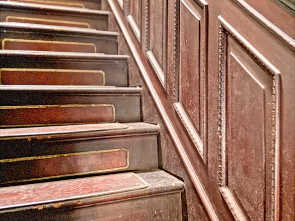 426 Mac Donough Street, Brooklyn NY 11233