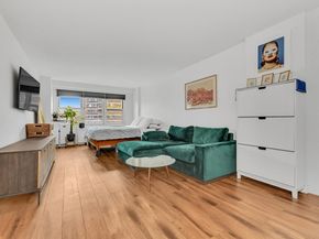 305 East 24th Street 20G, New York NY 10010