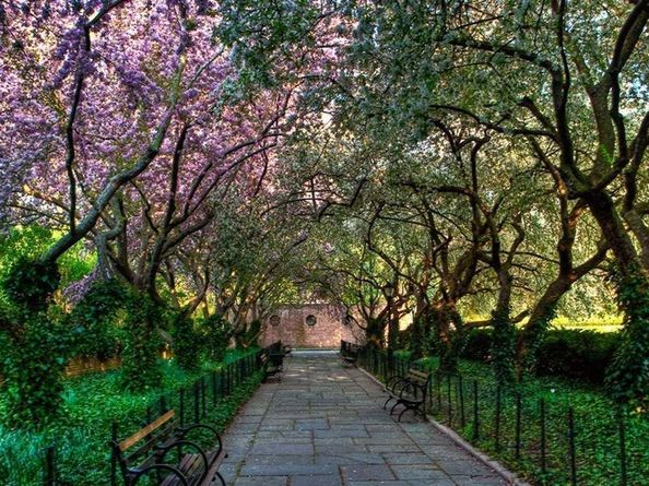 110 Central Park S 9B, New York NY 10019