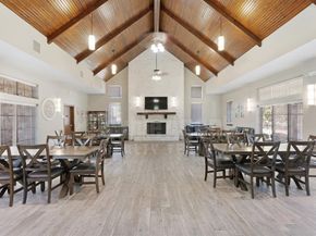 213  Mount Olive Avenue , McKinney Texas 75072