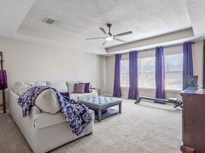 1317  Winston Drive , McKinney Texas 75072