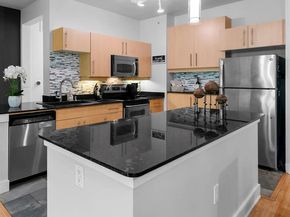 4414  Cedar Springs Road  209, Dallas Texas 75219