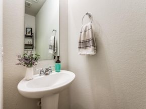 3109  Adrian Creek Drive , Little Elm Texas 75068