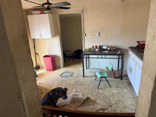 4701  Collins Avenue , Dallas Texas 75210