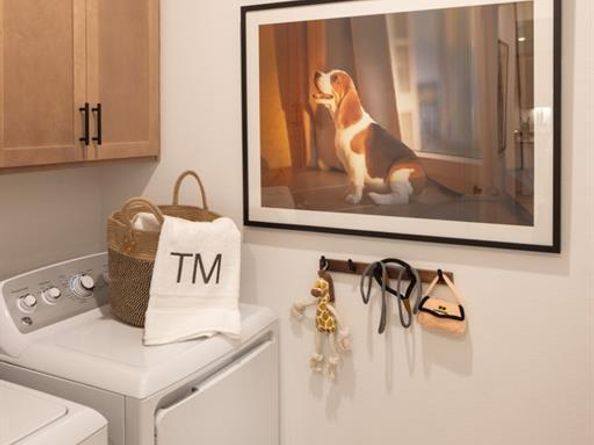 542  Wisteria Street , Oak Point Texas 75068