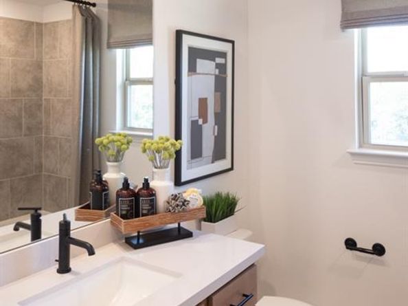 542  Wisteria Street , Oak Point Texas 75068