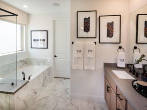 542  Wisteria Street , Oak Point Texas 75068