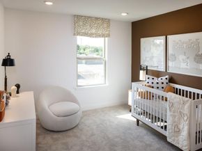 542  Wisteria Street , Oak Point Texas 75068