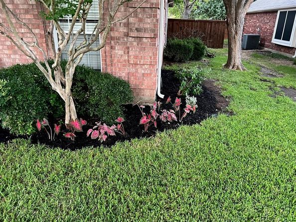 1404  Sunderland Court , Allen Texas 75013