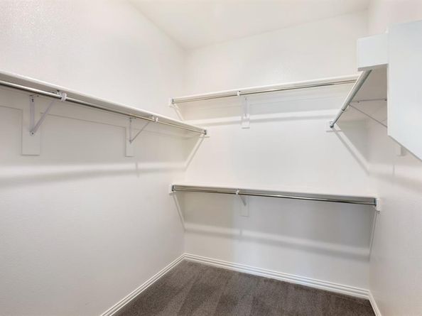 204  Golden Run Drive , Fate Texas 75189