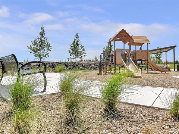 204  Golden Run Drive , Fate Texas 75189