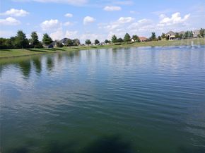 1537  Firenza Court , McLendon Chisholm Texas 75032