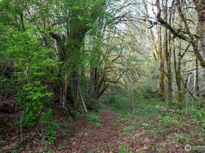 13101 Olalla Valley Road SE, Olalla WA 98359