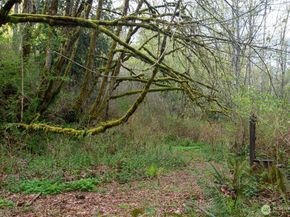 13101 Olalla Valley Road SE, Olalla WA 98359