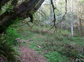 13101 Olalla Valley Road SE, Olalla WA 98359