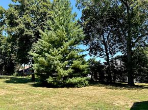 203 Sylvan Knoll Road, Stamford CT 06902
