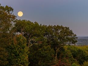 6A Rock Ridge Court, New Fairfield CT 06812