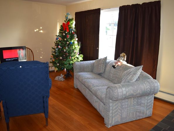 244 Rockland Avenue, Stratford CT 06614