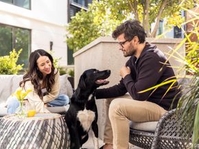 1 Bristol Court 311, San Francisco CA 94130