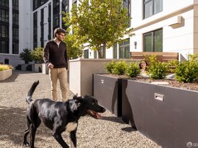 1 Bristol Court 311, San Francisco CA 94130