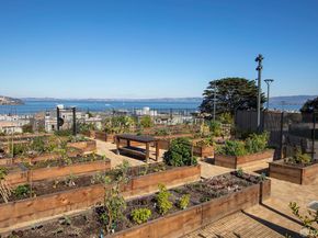 1080 Chestnut Street 3B, San Francisco CA 94109