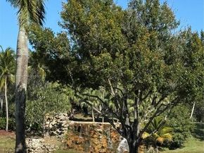 17061 NW 17th St, Pembroke Pines FL 33028