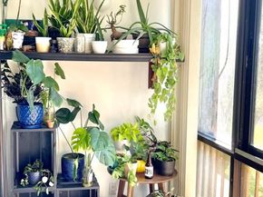 10253 NW 9th Street Cir 2046, Miami FL 33172