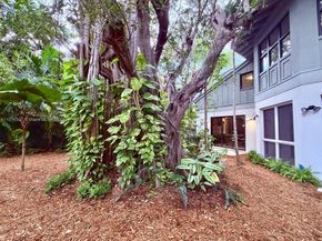 2330 Overbrook St, Coconut Grove FL 33133