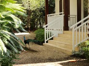 6065 SW 133rd St, Pinecrest FL 33156
