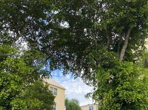 8225 Lake Dr 404, Doral FL 33166