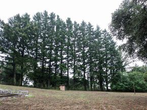 215 Marty Road, Los Gatos CA 95033