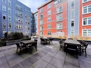 99 Tremont 205, Boston MA 02135