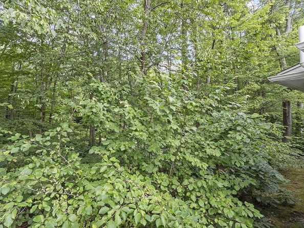 5 Maple Ridge Dr 5, Burlington MA 01803
