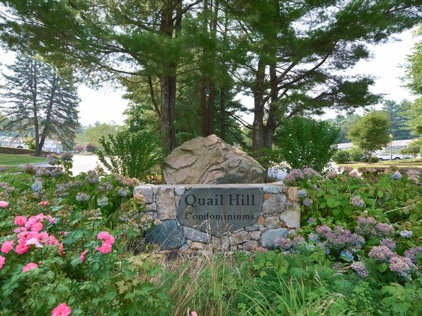 25 Bayberry Circle 25, Millis MA 02054