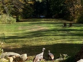 199 Tuckerman, Ashburnham MA 01430