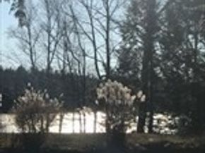 59 Lakeshore Drive, Ashburnham MA 01430