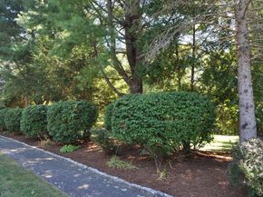 8 James Ave, Middleton MA 01949