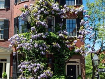 22 Louisburg Square