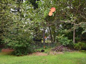 696 Summer, Rockland MA 02370