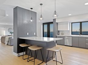 85 Willow Court PH501, Boston MA 02125